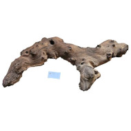 Decorations for aquariums Natural Mopan 22