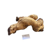 Decorations for aquariums Natural Mopan 23