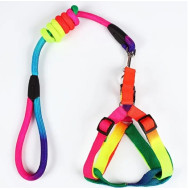 Nylon guides for dogs Nylon rainbow harness with leash 29-42cm/2cm