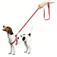 Nylon guides for dogs Paw nylon harness with 30-48cm leash