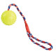 Cverenné hračky pro psa Vrhací míč z přírodní tvrdé gumy 7/39 cm na laně