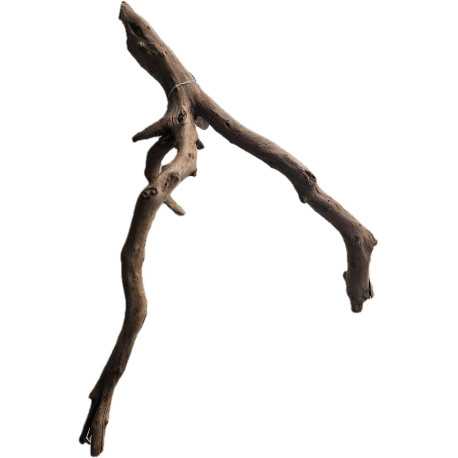 Decorations for aquariums Natural Driftwood Manila D1