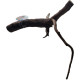 Decorations for aquariums Natural Driftwood Manila D2