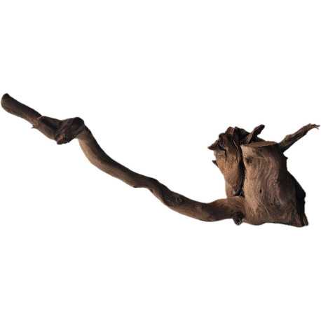 Decorations for aquariums Natural Driftwood Manila D3
