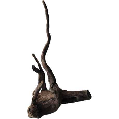 Decorations for aquariums Natural Driftwood Manila D4
