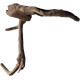 Decorations for aquariums Natural Driftwood Manila D8