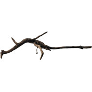 Dekorácia do akvária Prírodný Driftwood Manila D9