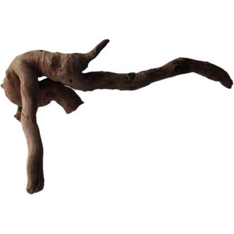 Decorations for aquariums Natural Driftwood Manila D10
