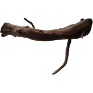 Decorations for aquariums Natural Driftwood Manila D16