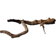 Decorations for aquariums Natural Driftwood Manila D20