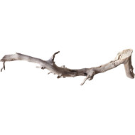 Dekorace do akvária Přírodní Driftwood Grapevite D29