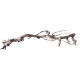 Dekorácia do akvária Prírodný Driftwood Grapevite D32