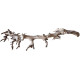 Dekorácia do akvária Prírodný Driftwood Grapevite D33