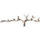 Dekorace do akvária Přírodní Driftwood Grapevite D34