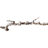 Dekorace do akvária Přírodní Driftwood Grapevite D35