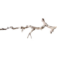 Dekorácia do akvária Prírodný Driftwood Grapevite D36