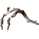 Dekorácia do akvária Prírodný Driftwood Grapevite D39