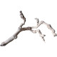 Dekorácia do akvária Prírodný Driftwood Grapevite D39