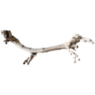 Dekorace do akvária Přírodní Driftwood Grapevite D43