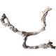 Decorations for aquariums Natural Driftwood Grapevite D45