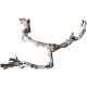 Decorations for aquariums Natural Driftwood Grapevite D45