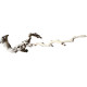 Decorations for aquariums Natural Driftwood Grapevite D48