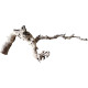 Decorations for aquariums Natural Driftwood Grapevite D48