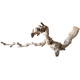 Dekorácia do akvária Prírodný Driftwood Grapevite D48