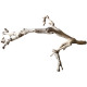 Dekorácia do akvária Prírodný Driftwood Grapevite D51