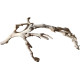 Dekorácia do akvária Prírodný Driftwood Grapevite D51