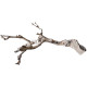 Dekorácia do akvária Prírodný Driftwood Grapevite D54